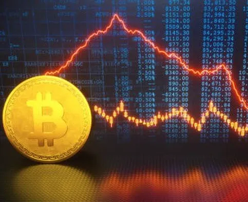 Bitcoins Code Pro - Bitcoins Code Pro'i Keşfedin
